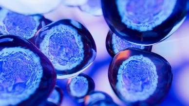 Cells