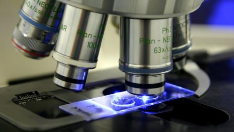Microscope