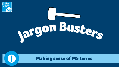 Jargon Busters: Maing sense of MS terms