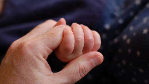 child's hand holding father's hand