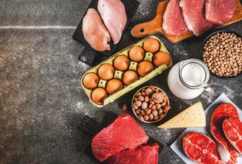 Milk, eggs, meat, fish and cheese on a table