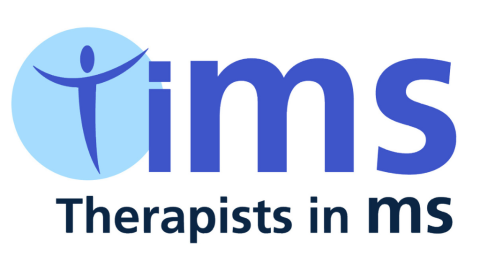 TiMS 2025 logo - white background