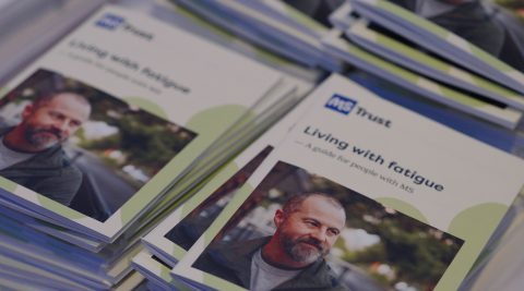 Living with fatigue book