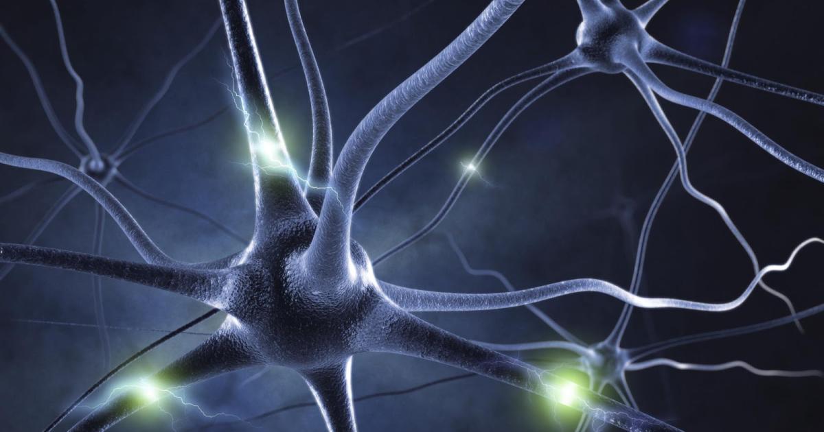 Citicoline Benefits for Neuroprotection Citicoline Benefits for Neuroprotection