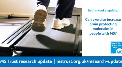 Staying Active With Ms Ms Trust