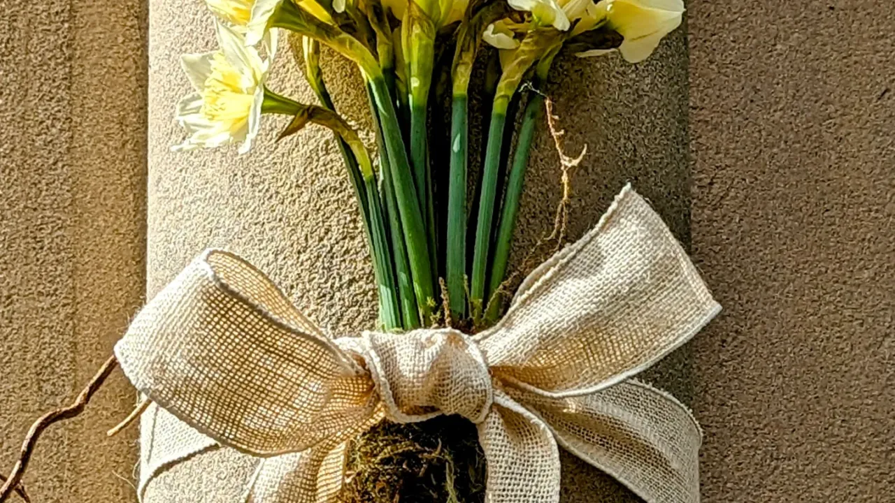 Bunch of white daffodils wrapped with a large hessian bow. The bottom of the flowers includes the bulbs