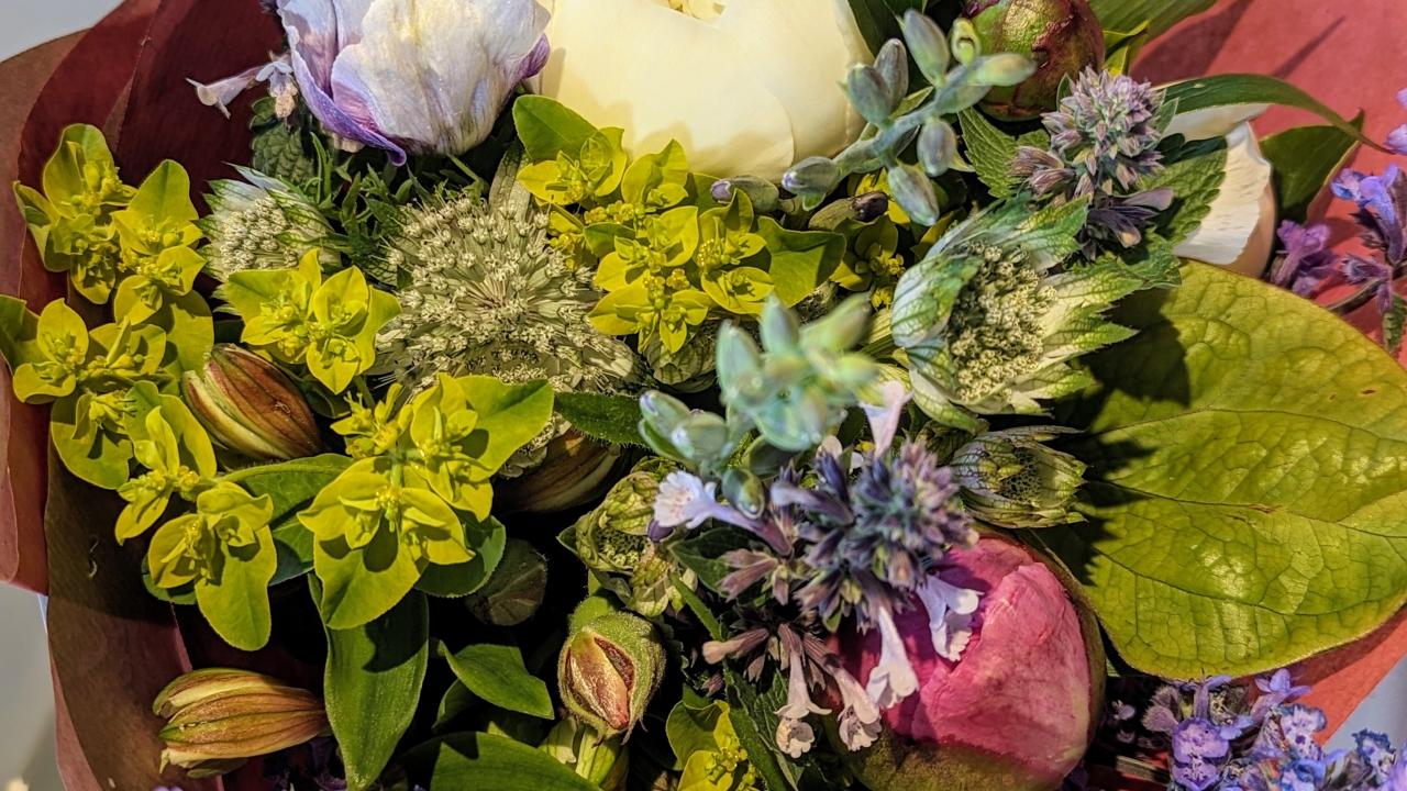 Beautiful bouquet of flowers, picture taken from above. Purple, white and pink flowers, with green foliage, wrapped in a pink paper